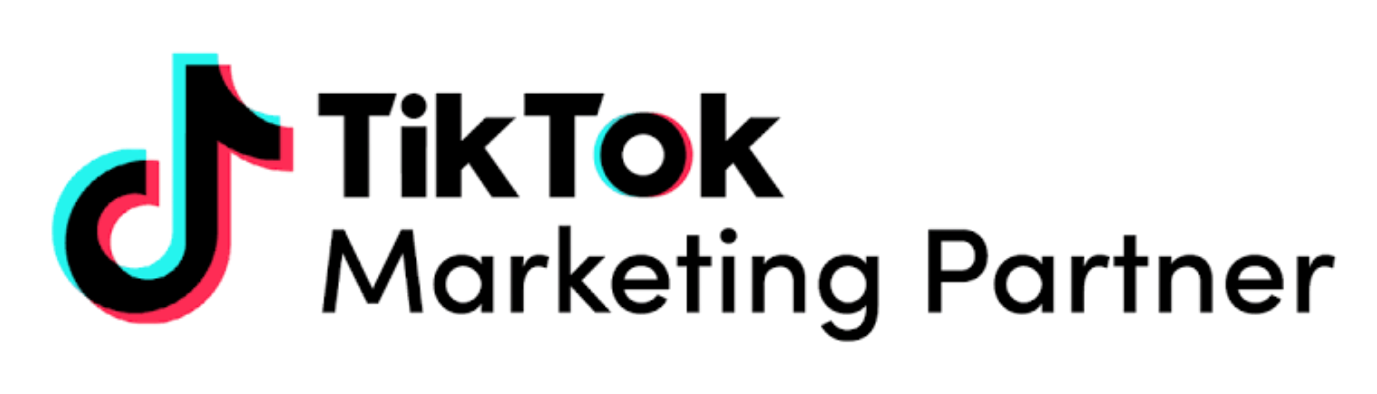 TikTok Marketing Partner